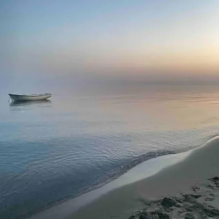 Biku's In Rrjoll Baks-Rrjoll