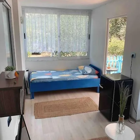 Biku's In Rrjoll * Baks-Rrjoll