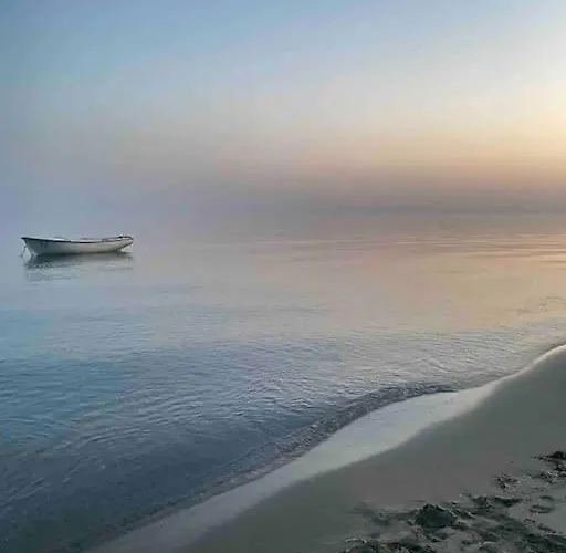 Biku's In Rrjoll Baks-Rrjoll