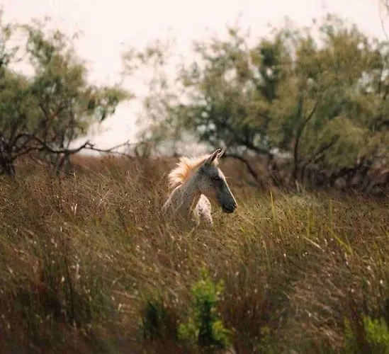 Biku's In Rrjoll بيت للعطل Baks-Rrjoll